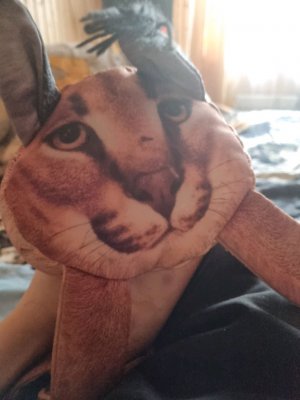 исторри со шлёпой вернулись новые автор спалил лицо по этому заногг