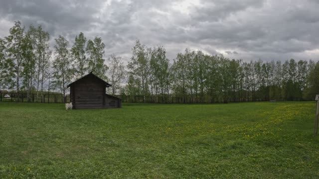 Суздаль. Музей деревянного зодчества! смотреть онлайн