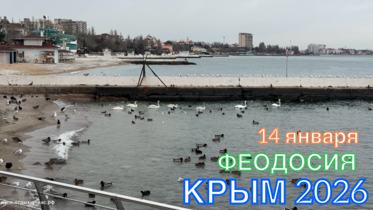КРЫМ 2026 | ФЕОДОСИЯ | 14 января ❤️🌊☀️⛰️🐬🏖️🏄♂️ смотреть онлайн