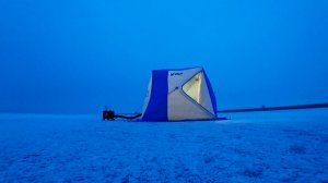 Секрет старого русла: когда рыба встает в очередь на поклёвку