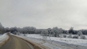 Любуемся красотой,друзья.Видео-ловушка😉