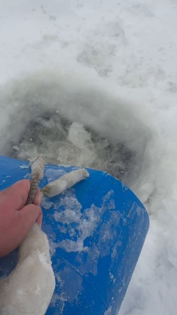 Запуск форели смотреть онлайн