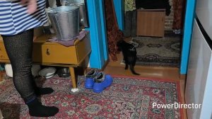 Жизнь аборигенки. В гости к Танюши. Её кошачки. 3.01.26