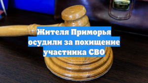 Жителя Приморья осудили за похищение участника СВО