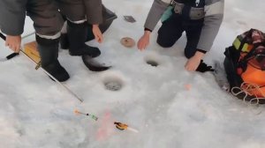 17.01.26 г. РК Волна.