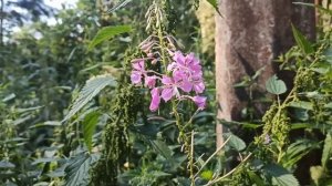 У всех свои дела, свои заботы…