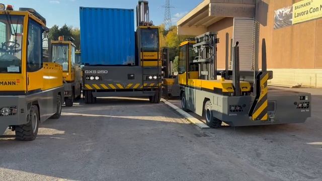 Итальянский жеребец Baumann GXS250