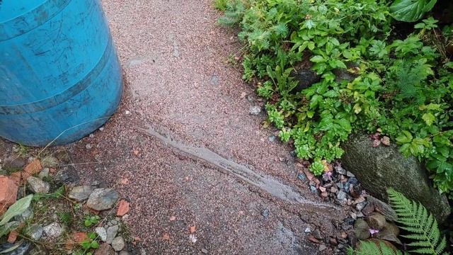 56-моя ДАЧА. Хмурый субботний день.. 2 часть(20.08-22.08.21 ) смотреть онлайн