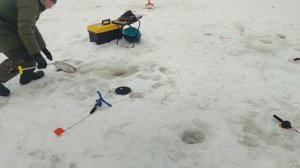 video5429441319070107434