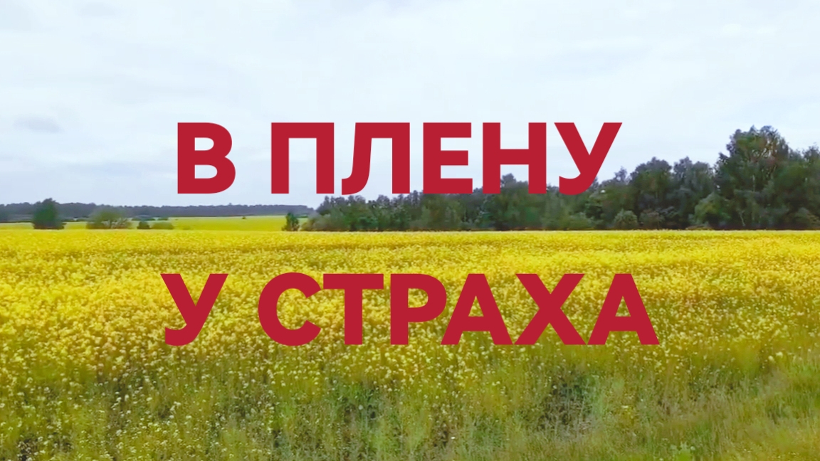 История из жизни смотреть онлайн