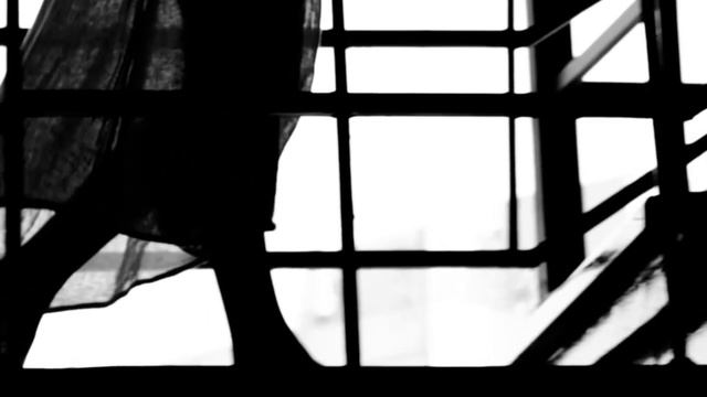 Музыки смотреть онлайн