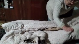 Жизнь пенсионеров.Уборка.Обзор покупок.Вкусный обед.