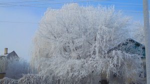 Крещенская ночь на Ставрополье ожидается снежной и морозной