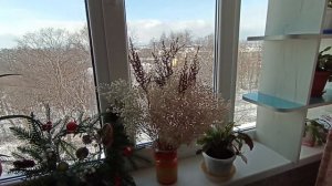 От любительницы бутылок.mp4