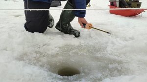 Основной водоём. Форель на резину.