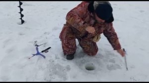 Поимки продолжаются