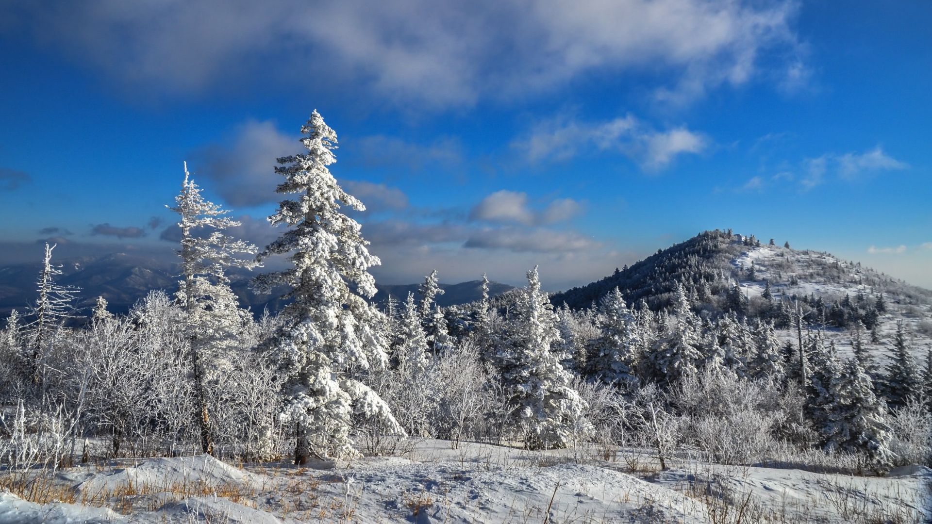 Исследование Дальнего Востока при Петре 1 смотреть онлайн
