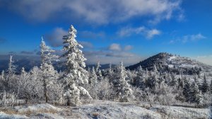 Исследование Дальнего Востока при Петре 1