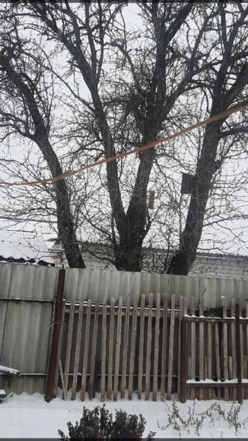 #зимний пейзаж смотреть онлайн