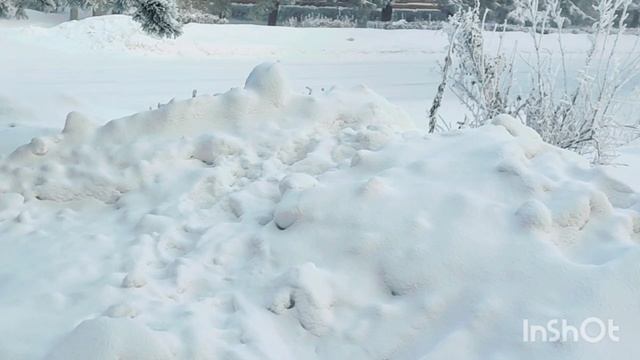 Наши Сибирские морозы. -40 градусов и я бегу 😊❄🎄 смотреть онлайн