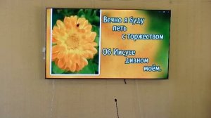 Трансляция