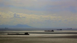 Минфин США ввел санкции против компаний, связанных с Венесуэлой