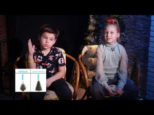 Недетские новости: «Елку нужно убирать 1 января»