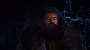 Гарри Поттер и Философский камень: Запретный лес