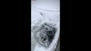 Морозные выходные в Пирогово!