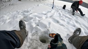 Ловим мелкого окуня на безмотылку.