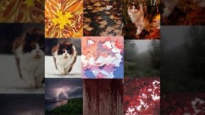 Дизайн для канала| Dᴇsɪɢɴ sᴛᴜᴅɪᴏ🌲