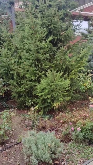  смотреть онлайн