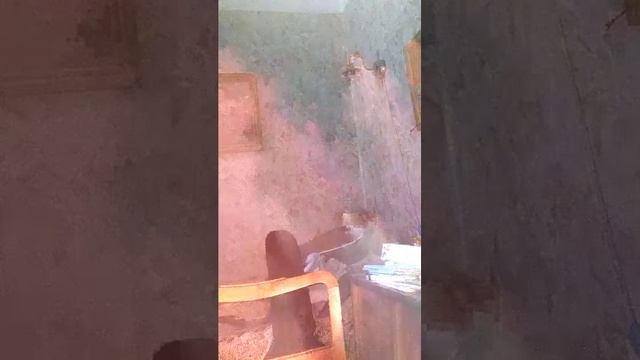 я. доклад смотреть онлайн