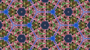 С Днём Рождения 9!!! Волшебные розы в Виртуальном мире!!!