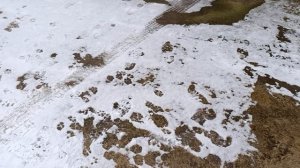 Малыш пришёл в гости