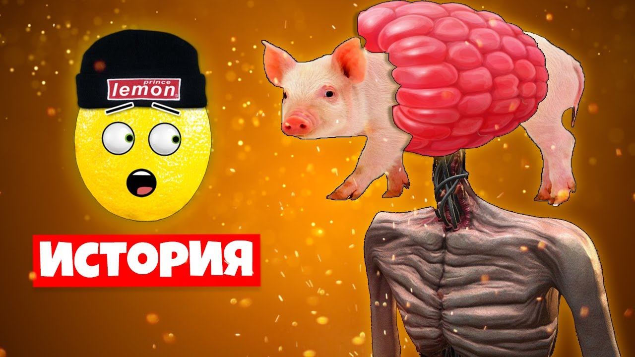 ИСТОРИЯ СВИНКА МАЛИНКА смотреть онлайн