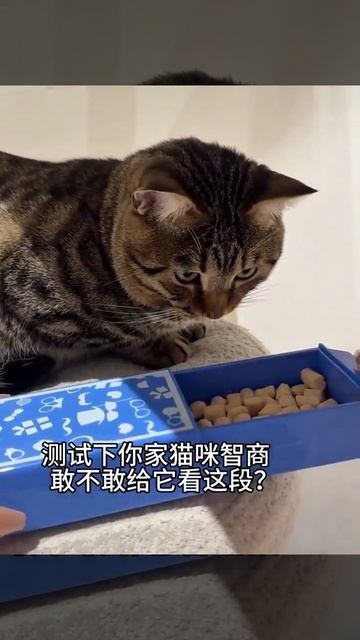 Хозяин колдун смотреть онлайн