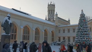 Поезд Деда Мороза_2