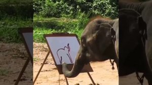 удивительные слоны.mp4