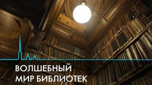 Волшебный мир библиотек. Не только книги