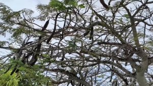 Хмурый океан..... 16.01.26.