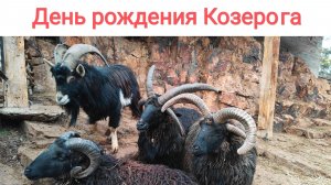 День 4-ый: Возвращаемся из Домбая и День рождения Козерога