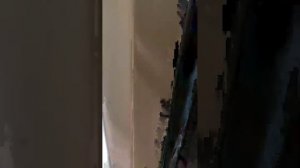 сибирский вайб