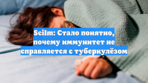 SciIm: Стало понятно, почему иммунитет не справляется с туберкулёзом