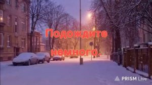 Смотрим kotinet