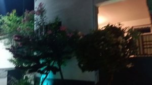 Отель Hanifaru Beach Inn вечером, Камаду, Мальдивы (Hotel Hanifaru Beach Inn, Kamadhoo, Maldives)