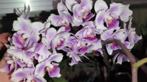 Низ стеллажа. Полный роспуск. Кто кого переплюнет 😄.