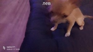 знаки зз 1 серия музыку и зз придумала сама .