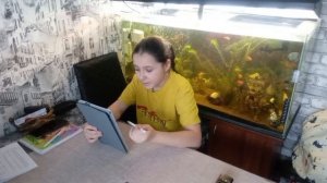 Покупки С ВБ