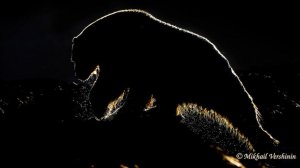 Владыка Земли 1